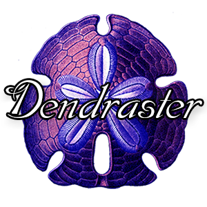 dendraster-logo